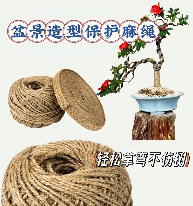 以盆景怎么绕钢丝（掌握关键技巧打造独特盆景艺术）