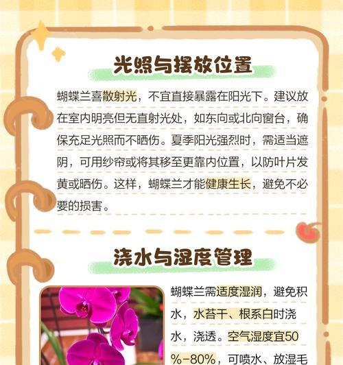 小蝴蝶兰的养殖技巧（让小蝴蝶兰在家中绽放绚丽光芒的关键）