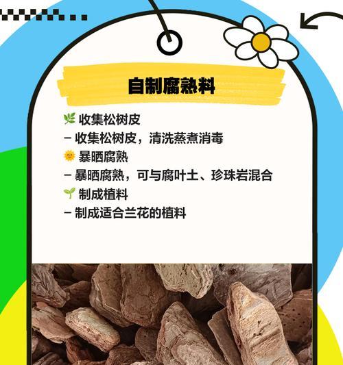 松树树皮腐化后的杀菌方法（有效防止松树树皮腐化的关键措施及步骤）