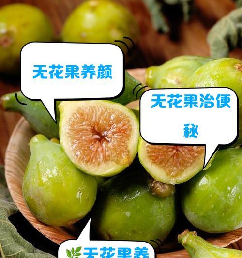 无花果的繁殖与生长过程解析（揭秘无花果的生命之谜，探究繁殖与生长的奥秘）