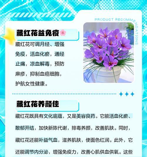 科学栽养藏红花，做好家庭养殖（全面解析藏红花栽培技巧，助您成功种植一片金黄）