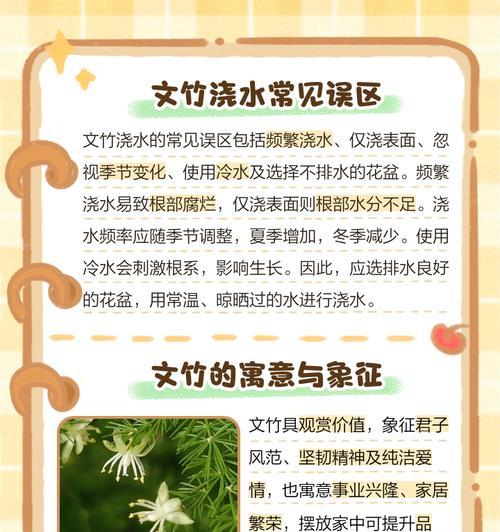 盆栽文竹的正确浇水方法（科学浇水，让文竹健康茁壮生长）