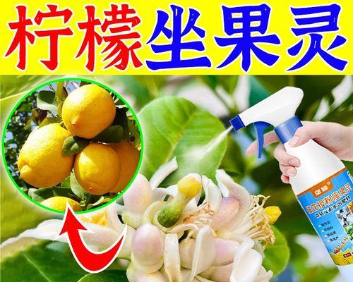 为什么柠檬不容易开花？（探究柠檬生长过程中的生理因素）