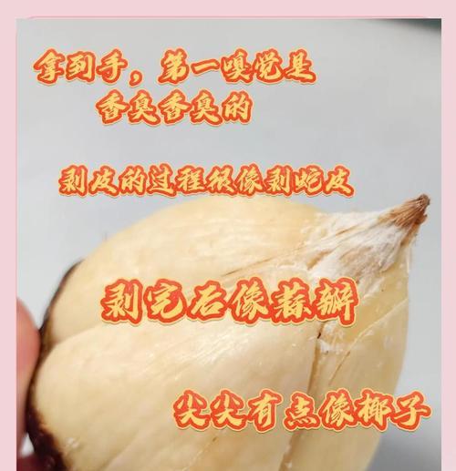 蛇皮果种植全攻略（探索蛇皮果的种植技巧，帮助您成功栽培自家果园）