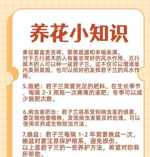 如何正确养护君子兰的通风问题（打造理想的君子兰生长环境，关键在通风）