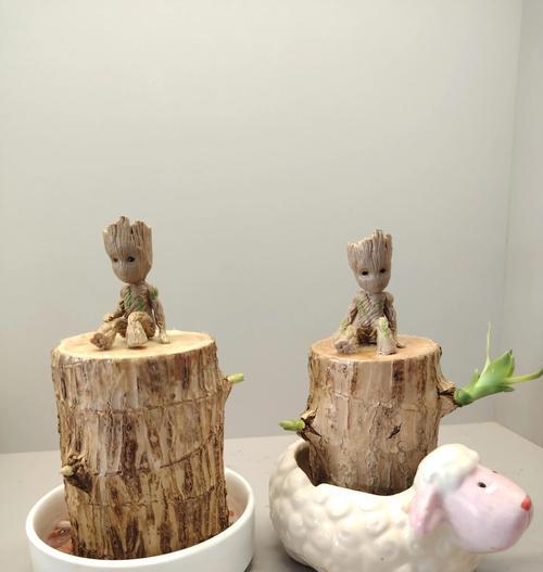 冬天如何养护巴西木？（了解巴西木的特点与养护技巧，打造室内绿色天堂）