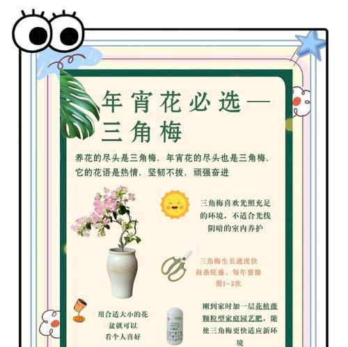 相思梅养护全攻略（如何正确养护相思梅，让其盛开绽放）