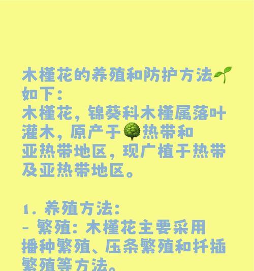 冬季养护之道（保暖、浇水、修剪与病虫害防治，打造健康美丽的大木槿花）