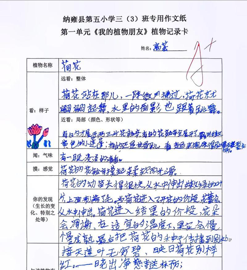 迎春花的繁殖技巧与方法（掌握迎春花繁殖，打造美丽花园）