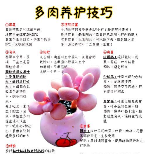 揭秘肉肉徒长的奥秘（探索人体脂肪堆积的原因与后果）