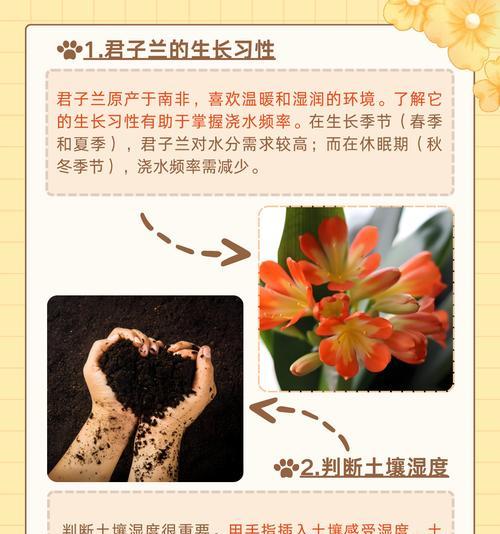 探究君子兰浇水技巧——硫酸二氢钾的使用方法（优化君子兰生长环境，提升植物健康成长）