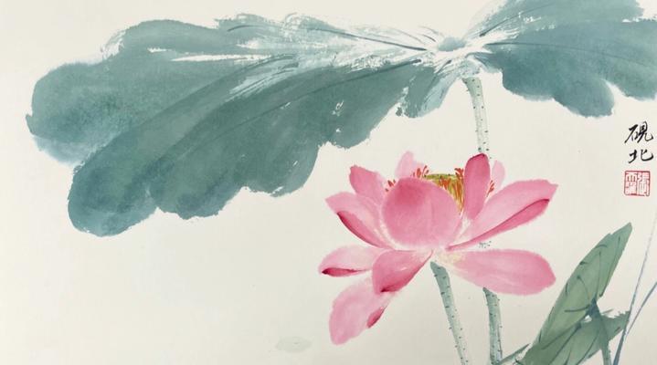 如何种植以芙蕖花（打造美丽的花园，从以芙蕖花开始）