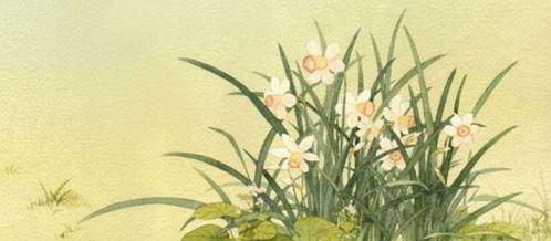 水仙花疯长怎么修剪,专业修剪技巧全解析”