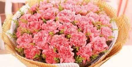 什么花代表元旦节,元旦节花卉寓意解析