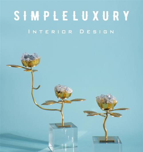 家里放荷花的寓意及好处（迎福纳财、净化空气、提升心情——荷花在家中的秘密力量）