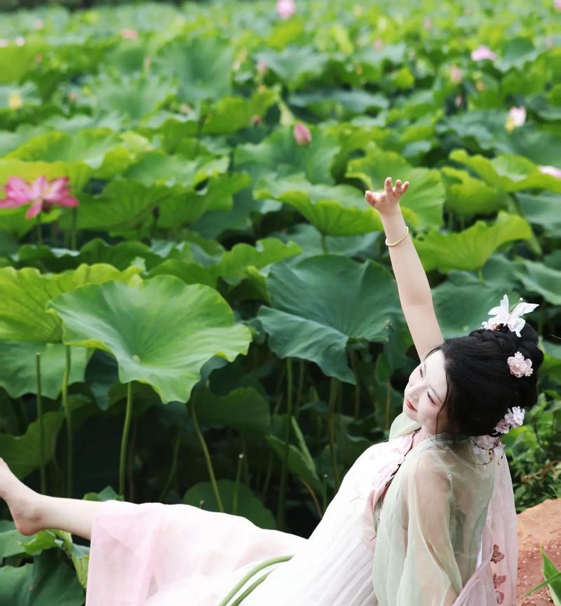 荷花的生命之道（以荷花为榜样，学会做人的道理）