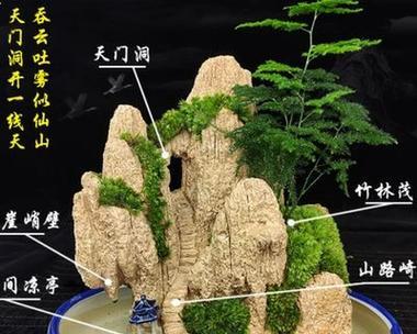 石头芽能装拌盆景吗？（探究石头芽在盆景中的应用潜力）