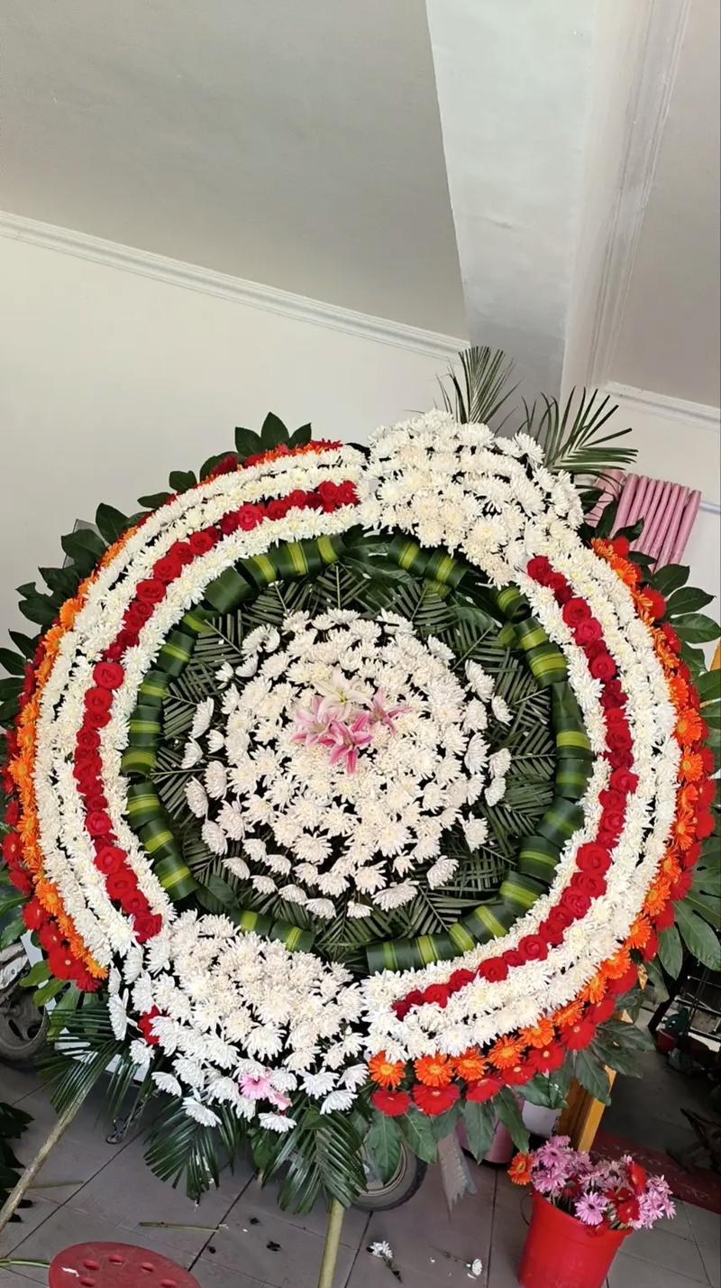 送菊花的含义及象征——细说花语（送菊花是表达感激之情的最佳选择）