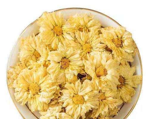 贡菊、杭白菊、胎菊，哪种更好？（对比三种菊花的特点和功效，探寻最佳选择）