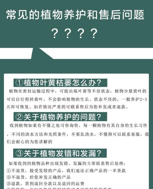 发财树四季养护全攻略（打造繁茂健康的发财树家园）