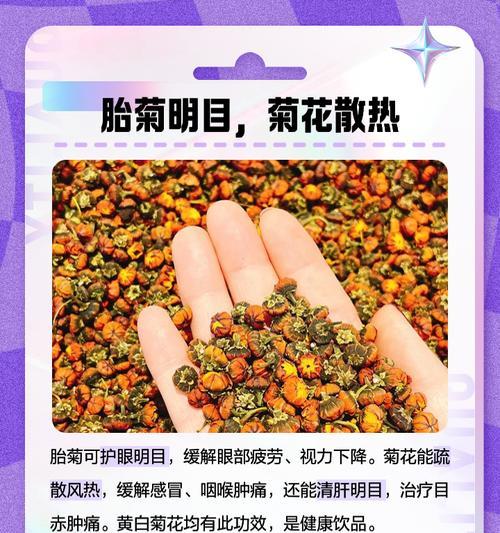 探秘菊花的药效功能与作用（菊花的神奇力量及其应用领域）