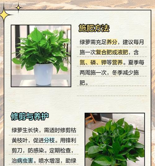 绿萝扦插的最佳时机（探讨绿萝扦插成活率高的几个月份）