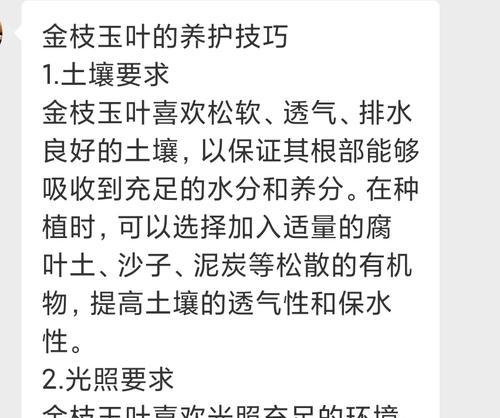 金钱木和金枝玉叶的养殖方法与注意事项（打造绿意盎然的家居环境，轻松养护金钱木和金枝玉叶）