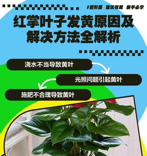红叶子养殖秘籍（打造华丽的红叶园，）