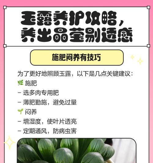 玉露的养殖与寓意（探秘玉露的养殖方法和注意事项，解读其寓意之美）