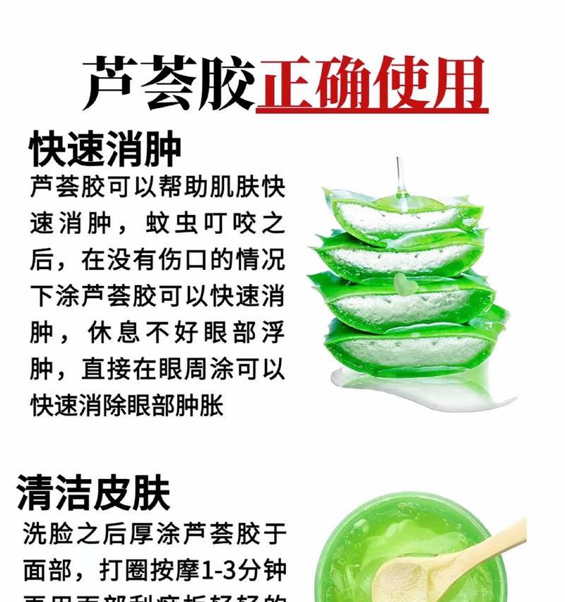 探索芦荟的正确食用法（让我们一起了解芦荟的真正效用和正确使用方法）