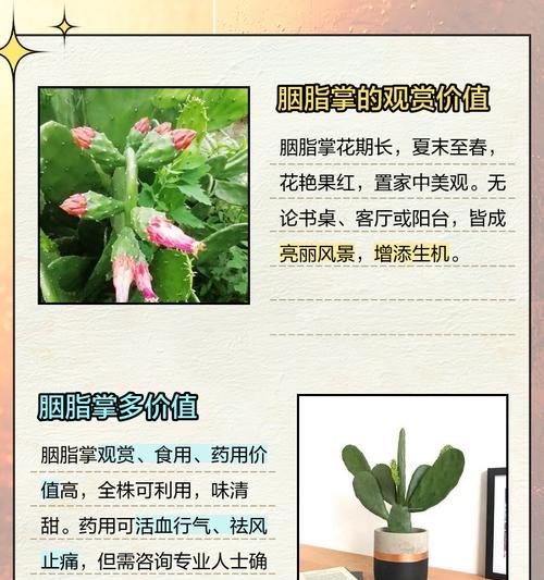 仙人掌的药用之旅（发现仙人掌植物的丰富药用价值）