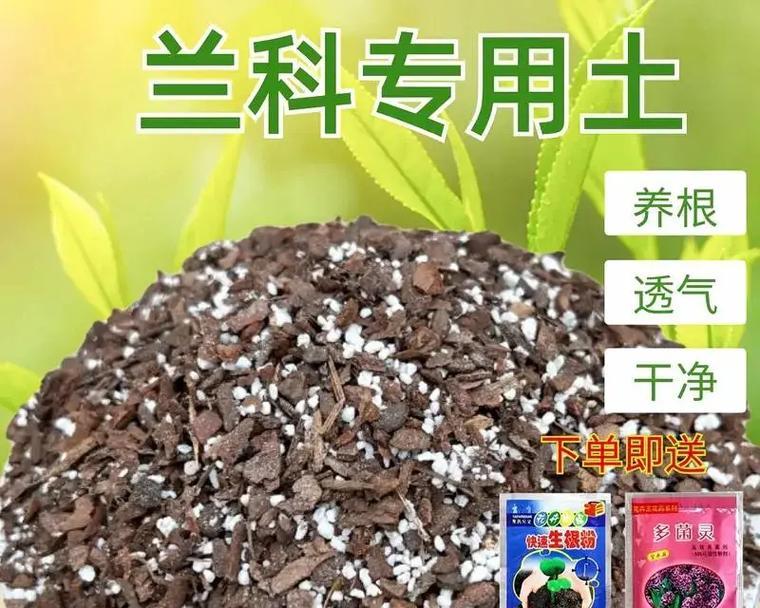 石斛兰花的土壤需求与种植技巧（打造石斛兰花的理想生长环境）