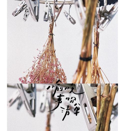 满天星剪枝的正确方法（打造健康美丽的满天星花园）