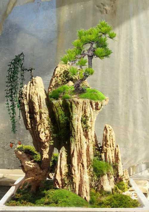 打造趣味盆景，让家居生活更有趣（用心打造，每一盆都是独一无二的小世界）