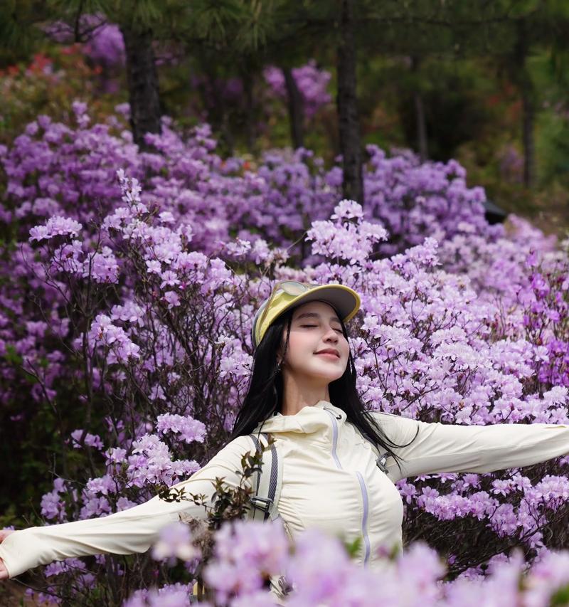 高山杜鹃扦插技巧与注意事项（了解高山杜鹃的扦插方法和成功育苗的关键）