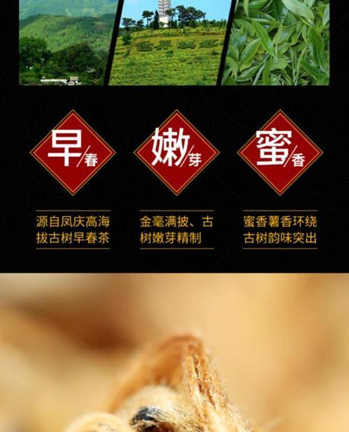 探索红螺养殖的全面方法大全（实用技巧带你成功培育红螺）