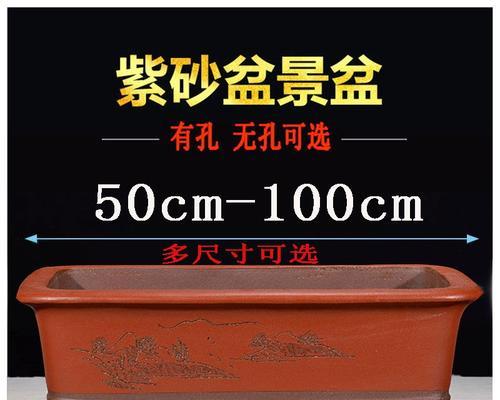 无孔盆栽盆景方法及技巧（掌握无孔盆栽盆景的关键，让你的家居更绿意盎然）