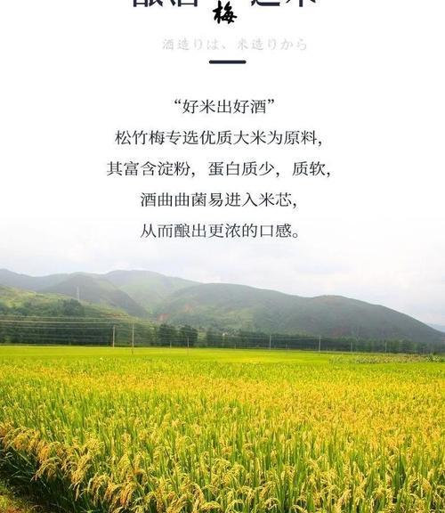 松竹梅清酒的度数之谜（解析松竹梅清酒的酒精浓度及其特点）
