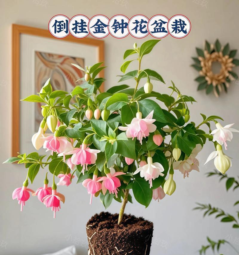 盆景花明细大全（探索世界各种盆景花的美丽与独特）