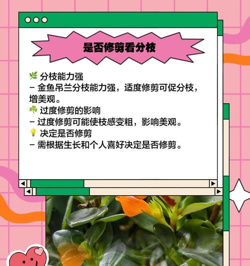 以吊兰的修剪方法欣赏（打造绿意盎然的居家花园，掌握吊兰修剪的技巧）